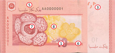 RM10 Reverse
