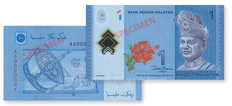 RM1 specimen