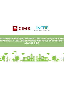 Renewable Energy and Energy Efficiency Policy and Financing: A Global Benchmarking with Focus on South East Asia and China